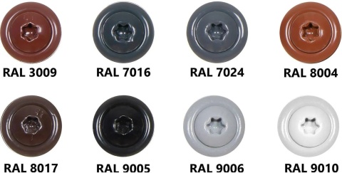 4,8x35 Wkręt typu panhead RAL 9010 op.250 szt